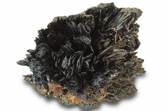 Radiating Dark-Green Vivianite Crystals - Ukraine #315587